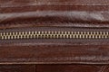 Zip fastener on a brown leather surface close-up