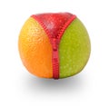 Zip fastening apple to orange Royalty Free Stock Photo