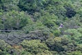 Zip line canopy tours in Costa Rica