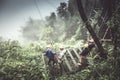 Zip line with green vegetation in the background at Tad Fane Waterfall