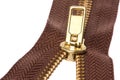 Zip Macro Isolated Royalty Free Stock Photo