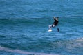 Zipline at Mossel Bay South Africa Royalty Free Stock Photo