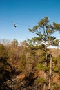 Ziplining Royalty Free Stock Photo