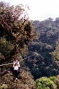 Ziplining in Rainforest Royalty Free Stock Photo