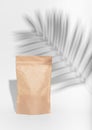 Ziplock pack, kraft paper zip bag mockup. Brown tea pouch, product package