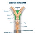 Zipper diagram vector illustration. Detailed educational scheme with titles