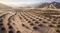 Zipper opens a desert landscape to fertile land