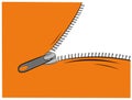 Zipper opens, vector illustration .