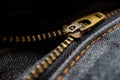 Zipper on a pair of blue jeans. Royalty Free Stock Photo