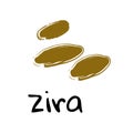 Zira illustration on white background