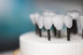 Zirconia dentures on it`s last steps - Ceramic dentures - Royalty Free Stock Photo