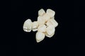 Zirconium crowns on a black background. Zirconium crowns. Royalty Free Stock Photo
