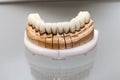 Zirconium Porcelain Tooth plate