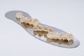 Zirconium tooth crown Isolate on wite background. Aesthetic restoration of tooth loss. Metal free ceramic dental crowns.