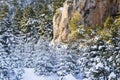 Ziria mountain fir trees covered with snow on a winter day, South Peloponnese, Greece