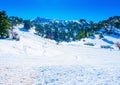 On Ziria mountain in Greece