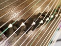Zither,Gu Zheng Royalty Free Stock Photo