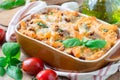 Ziti bolognese in baking dish. Pasta casserole with minced meat, tomato sauce and cheese, horizontal