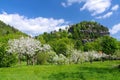 Zittau Mountains, the Oybin monastery in spring with apple trees Royalty Free Stock Photo