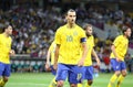 Zlatan Ibrahimovic of Sweden Royalty Free Stock Photo