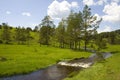 Zlatibor mountain Royalty Free Stock Photo