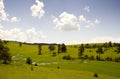 Zlatibor mountain moods