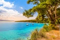 Zlatni Rat beach or Golden Horn in Bol, Brac Island, Croatia. Scenic bay with pine trees and turquoise sea water Royalty Free Stock Photo