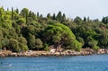 People sunbathing at Zlatni Rt Golden Cape Beach in Rovinj, Croatia Royalty Free Stock Photo