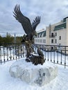 Zlatoust, Chelyabinsk region, Russia, January, 19, 2020. Eagle that brought fish to a chick in the mountain Park named after Bazho