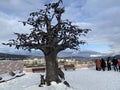 Zlatoust, Chelyabinsk region, Russia, January, 19, 2020. People walking near Tree of wishes in mountain Park named after Bazhov o