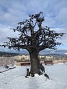 Zlatoust, Chelyabinsk region, Russia, January, 19, 2020. Tree of wishes in mountain Park named after Bazhov on Red hill in winte