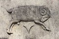 Zodiac - Aries Or Ram