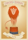 Zodiac Circus. Leo sign. Circus lion showing off on a stand Royalty Free Stock Photo