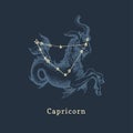 Zodiac constellation of Capricorn and its symbol in engraving style. Vector illustration of astrological sign Sea Goat.