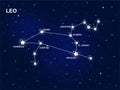 The zodiac constellation of Leo in the starry sky