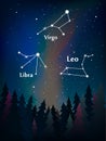 Zodiac constellation in the night sky over the forest leo, virgo Royalty Free Stock Photo