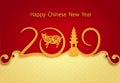 2019 The Zodiac of the Pig. Chinese New Year. The year of the earth pig brings prosperity and luck. Stylized greeting Royalty Free Stock Photo
