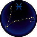 Zodiac Pisces Sign