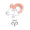 Zodiac sign Aries. One line. Vector illustration in the style of minimalism. Continuous line. Royalty Free Stock Photo