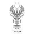 Zodiac sign. Astrological horoscope collection. Vector illustration Royalty Free Stock Photo