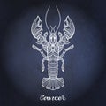 Zodiac sign. Astrological horoscope collection. Vector illustration Royalty Free Stock Photo