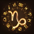 Zodiac sign Capricorn Royalty Free Stock Photo