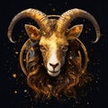 Zodiac sign of Capricorn, gold goat on night starry sky background Royalty Free Stock Photo