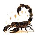 zodiac sign Scorpio with golden stars illustration on white background