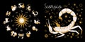 Zodiac sign Scorpio. Horoscope and astrology. Full horoscope in the circle. Horoscope wheel zodiac with twelve signs vector Royalty Free Stock Photo