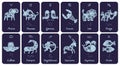 Zodiac signs cards. Astrological symbols. Zodiacal animals with floral patterned silhouettes. Constellations icons with Royalty Free Stock Photo