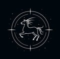 Zodiac signs esoteric astrological illustration