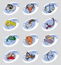 Zodiac signs on grey background Royalty Free Stock Photo