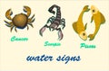 Zodiac signs of water; cancer, scorpion, fish