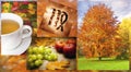Colorful autumn images for zodiac sign Virgo like a astrology concept
